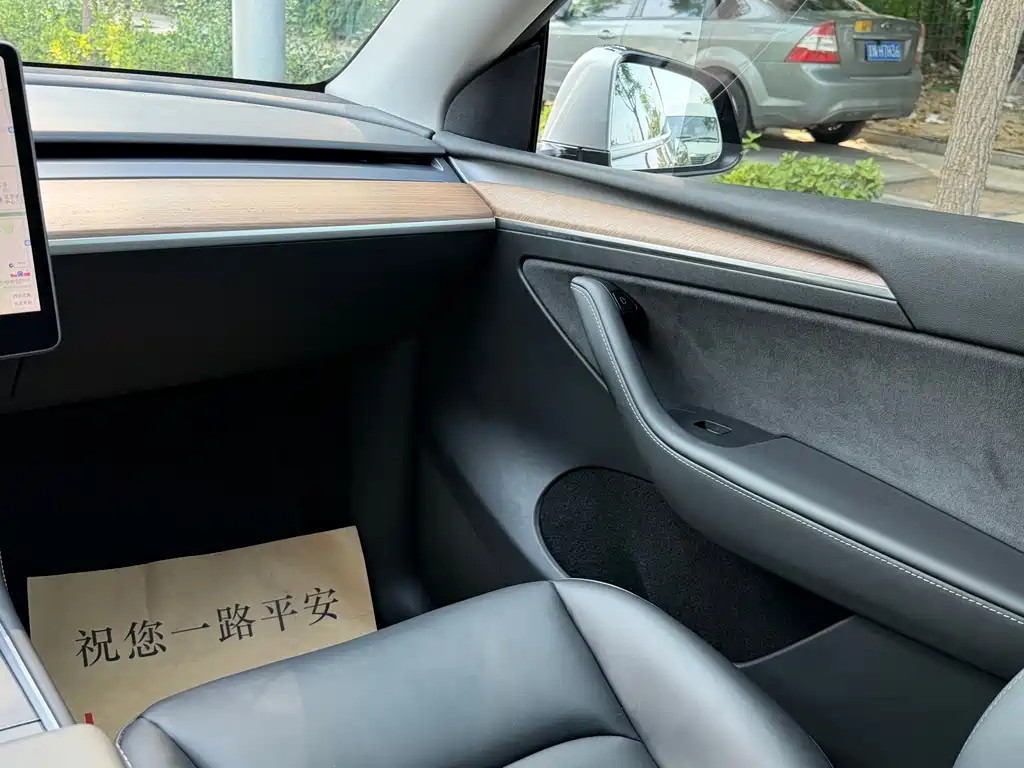Tesla Model Y — миниатюра 10