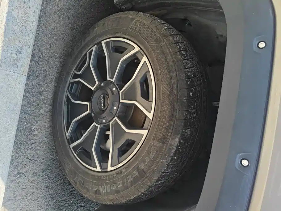 Haval Big Dog PLUS New Energy — миниатюра 6