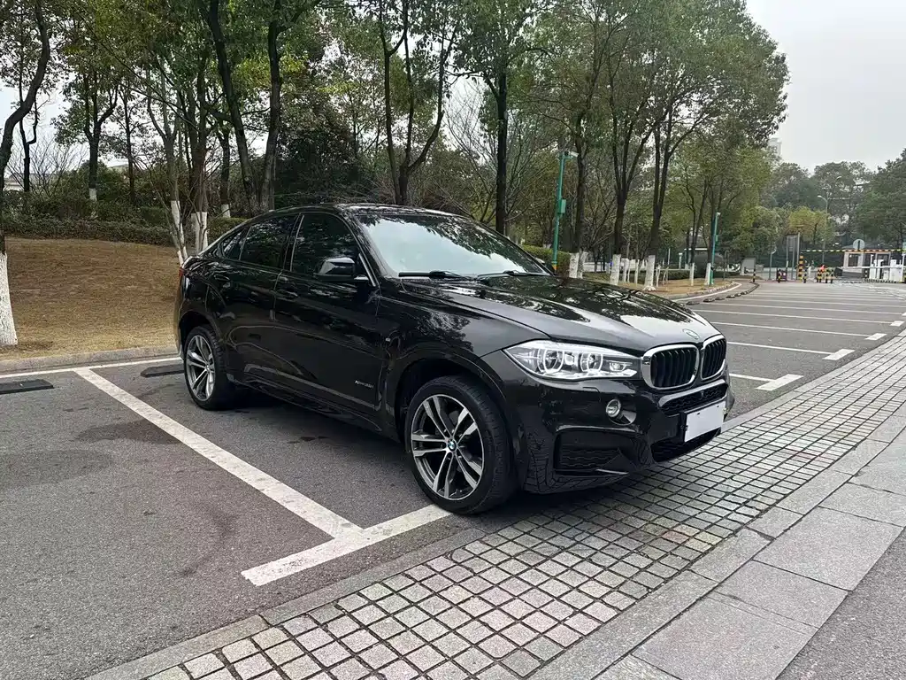 BMW X6 2019