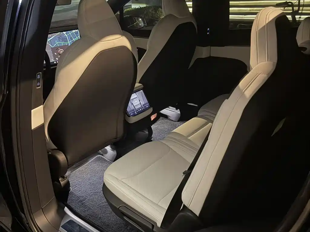 Tesla Model X — миниатюра 8