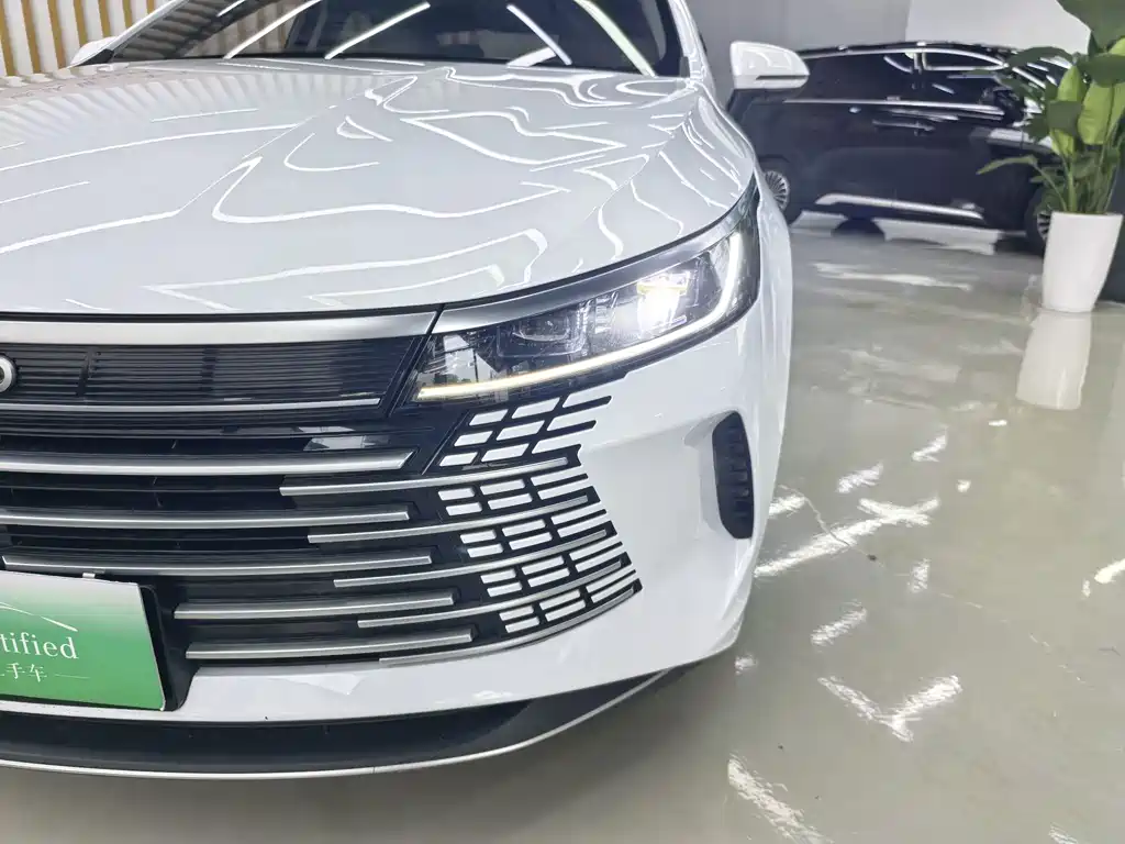 BYD Destroyer 05 — миниатюра 22