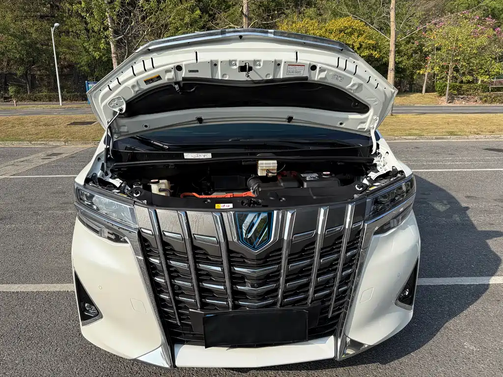 Toyota Alphard — фотографии объявления, Фото 14