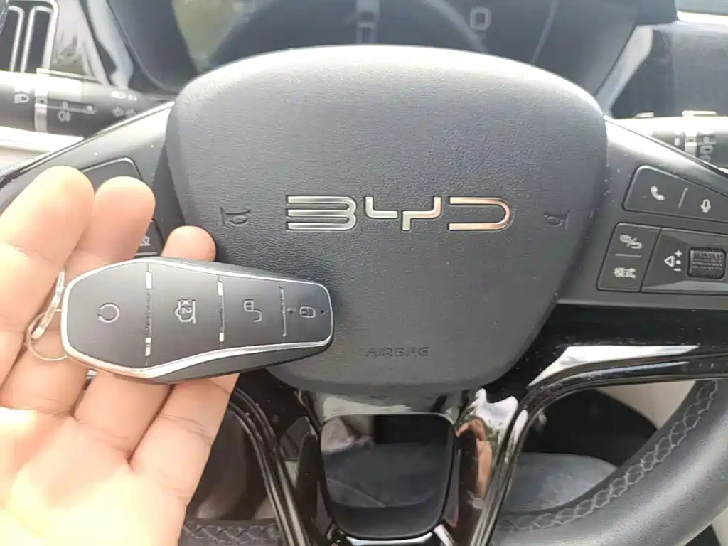 BYD PLUS New Energy — миниатюра 9