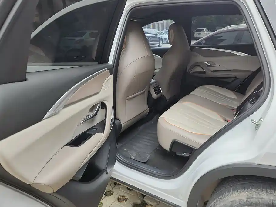 BYD Pro New Energy — миниатюра 11