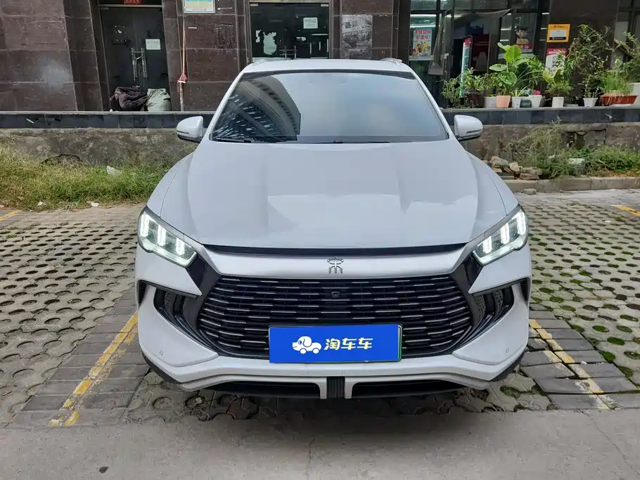 BYD Pro New Energy — миниатюра 2
