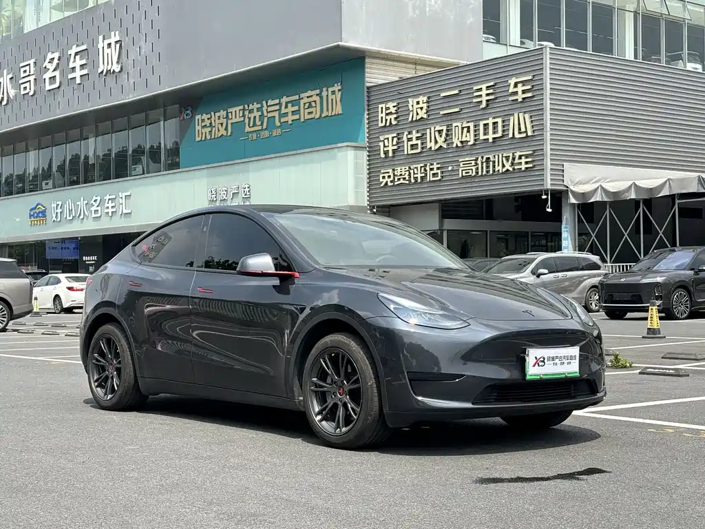 Tesla Model Y — миниатюра 3