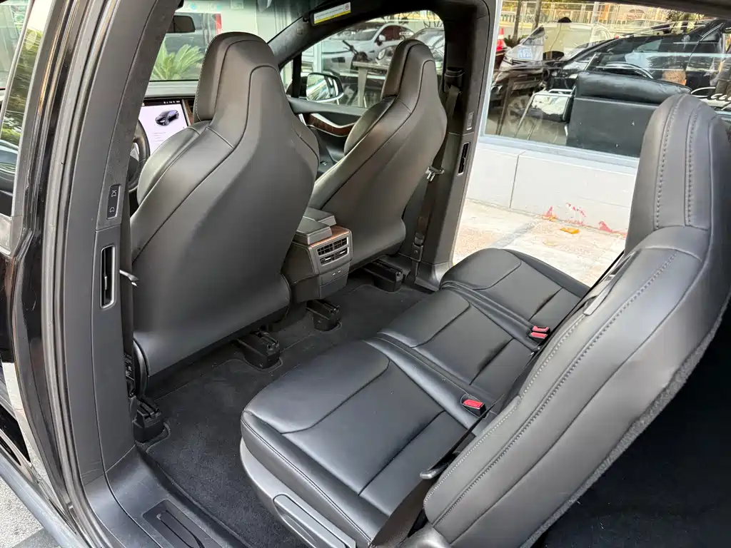 Tesla Model X — миниатюра 18