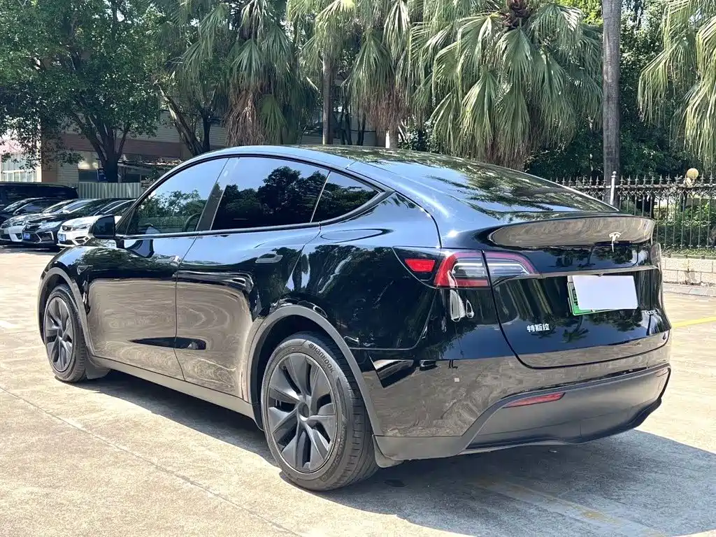 Tesla Model Y — миниатюра 9