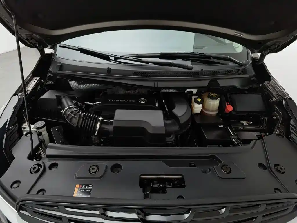 Buick GL8 — миниатюра 6