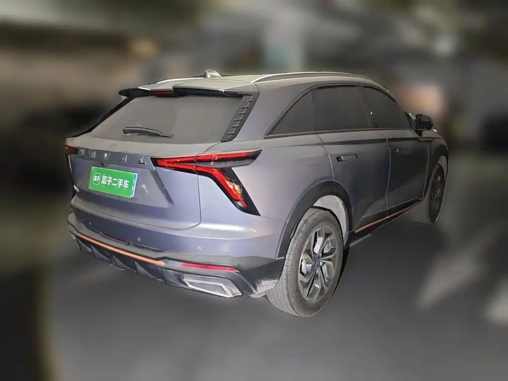 Haval Shenshou — миниатюра 4
