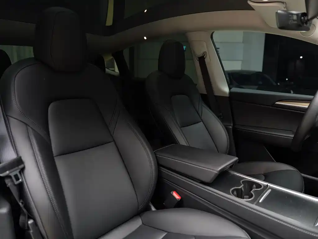 Tesla Model Y — миниатюра 11