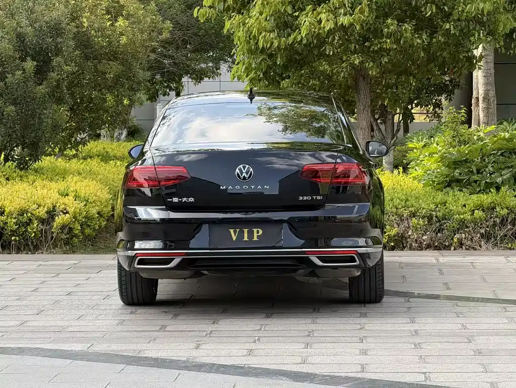 Volkswagen Magotan 2020 330TSI DSG Luxury