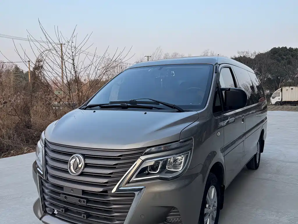 DONGFENG LINGZHI