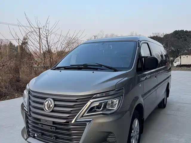 dongfeng lingzhi