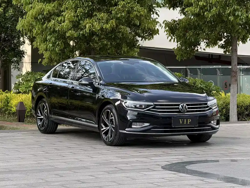 Volkswagen Magotan 2020 330TSI DSG Luxury