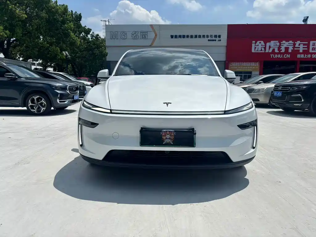Tesla Model Y — миниатюра 2