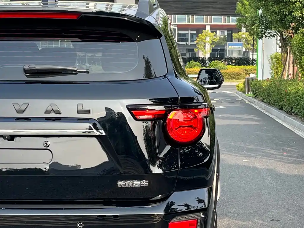 Haval Big Dog PLUS — миниатюра 6