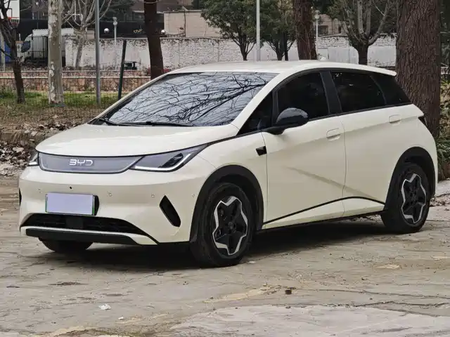 BYD DOLPHIN 2025