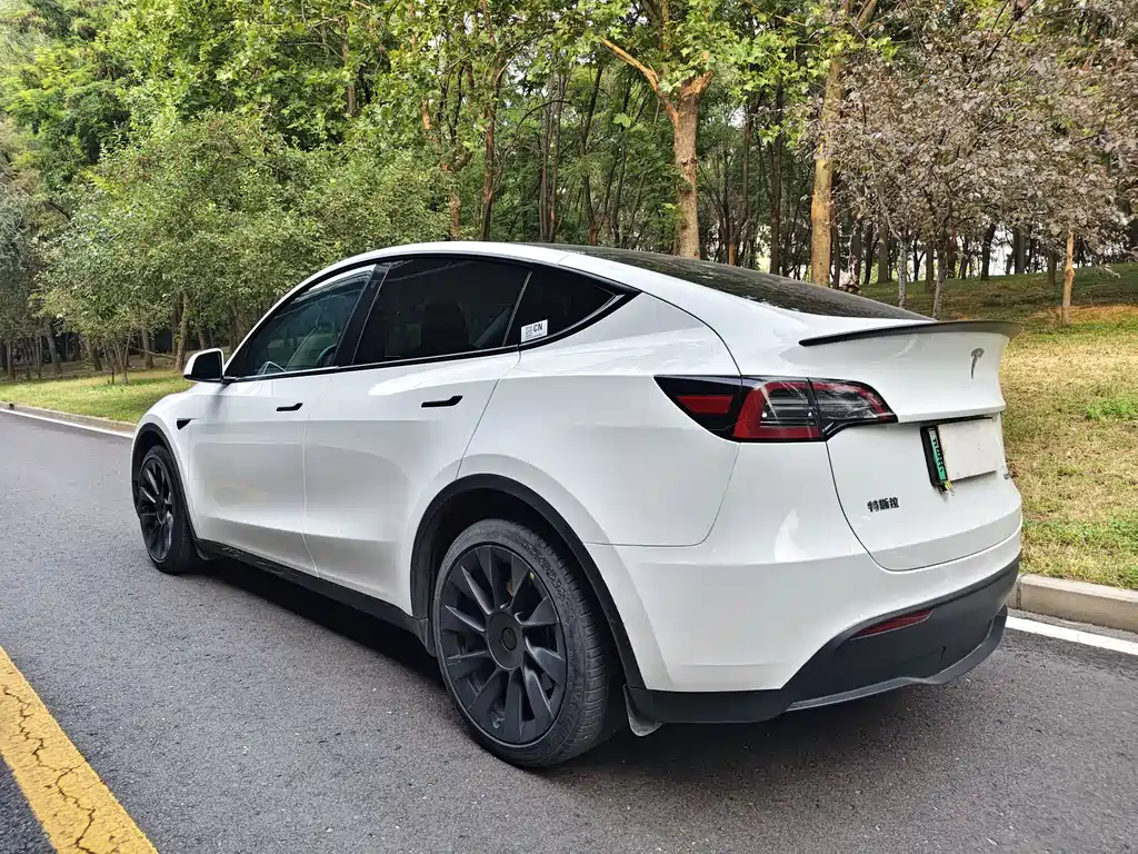 Tesla Model Y — миниатюра 6
