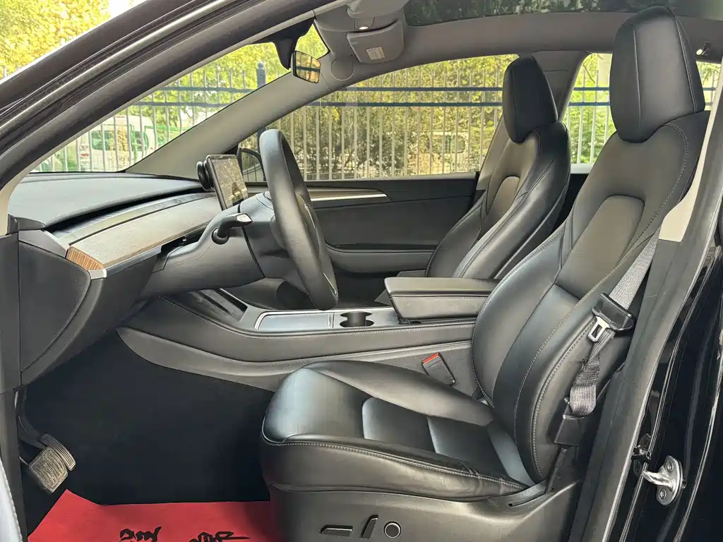 Tesla Model Y — миниатюра 9