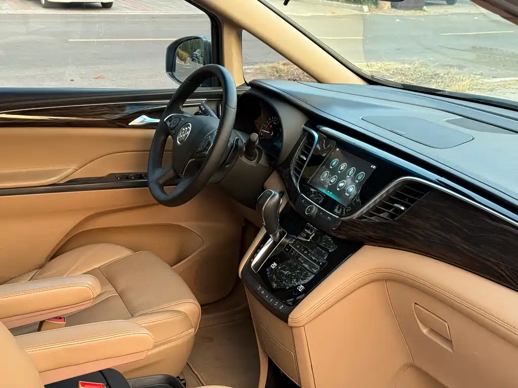 Buick GL8 — миниатюра 14