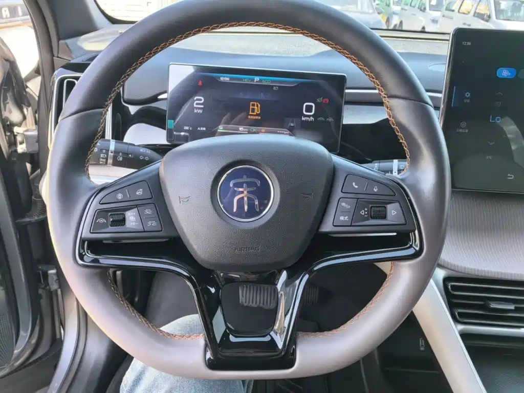BYD Pro New Energy — миниатюра 11
