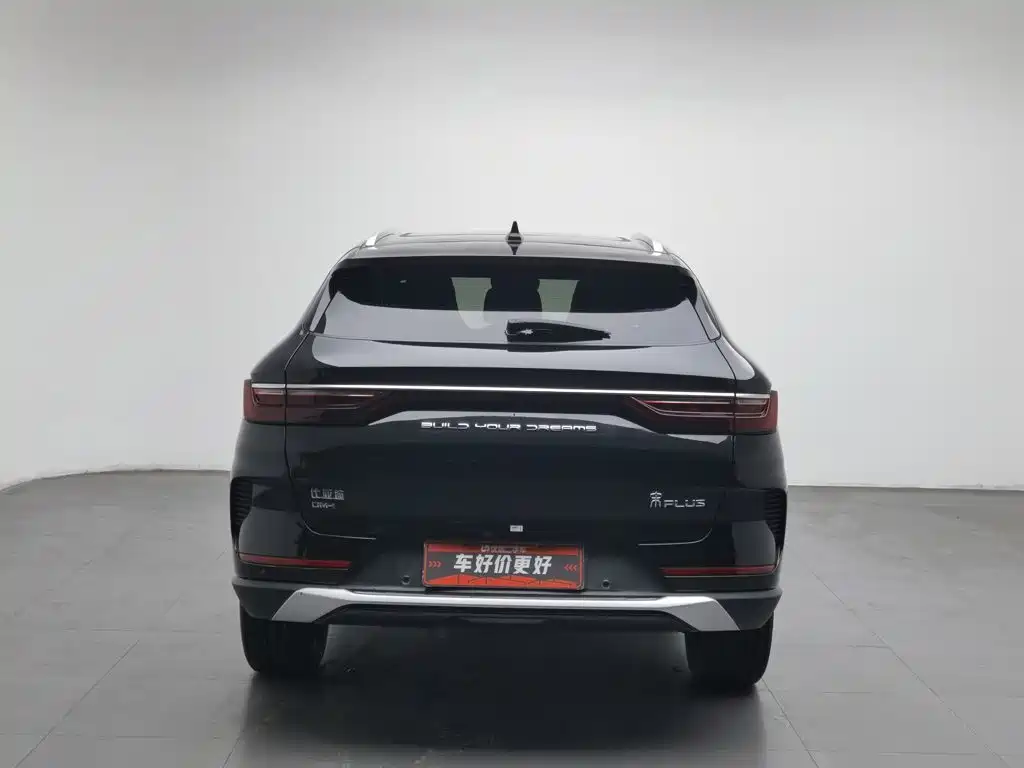 BYD PLUS New Energy — миниатюра 4