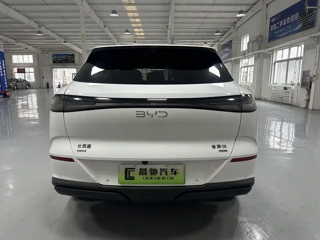 BYD Sea Lion 06 06 2025 DM-i 205 Pro