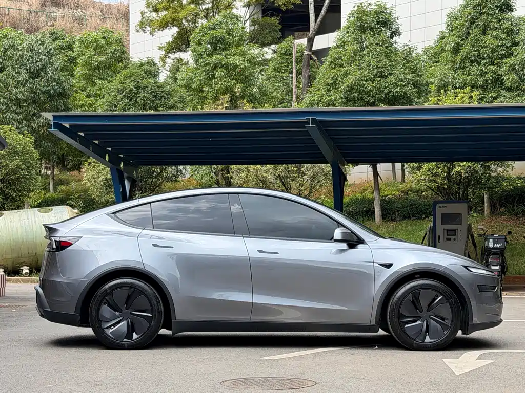 Tesla Model Y — миниатюра 8