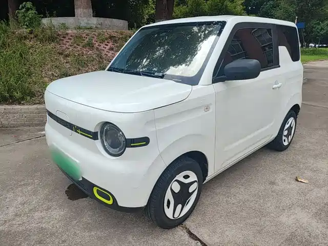 2025 Geely LC (Panda)