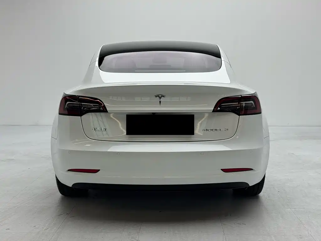 Tesla Model 3 — миниатюра 3