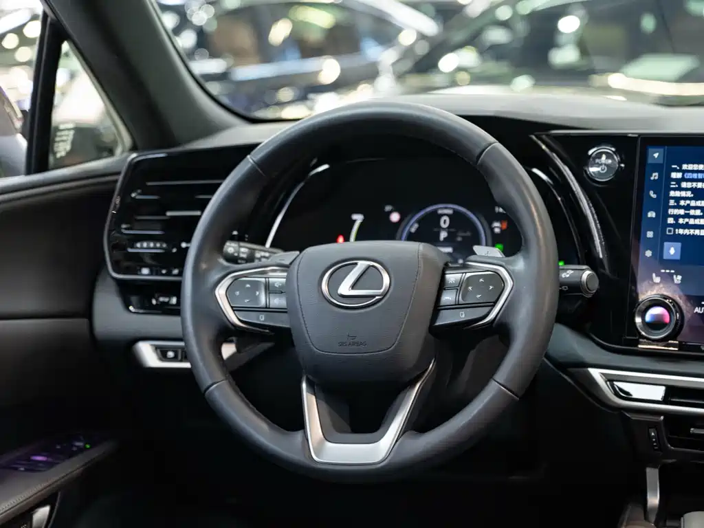 Lexus RX New Energy — миниатюра 14