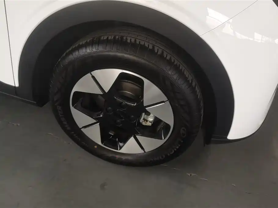Geely Geome Xingyuan 2025 310km