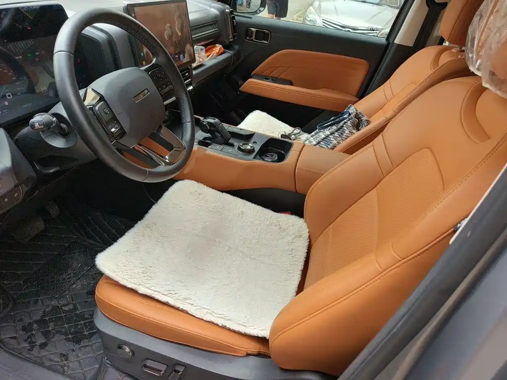 Haval Menglong New Energy — миниатюра 11