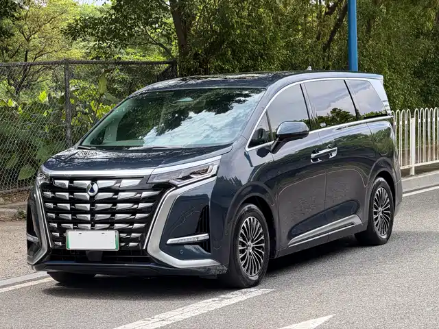 2023 Denza D9