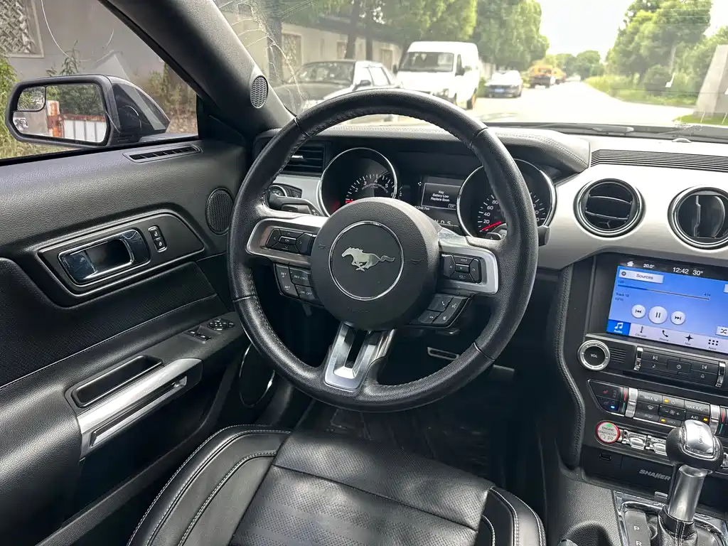 Ford Mustang — миниатюра 27