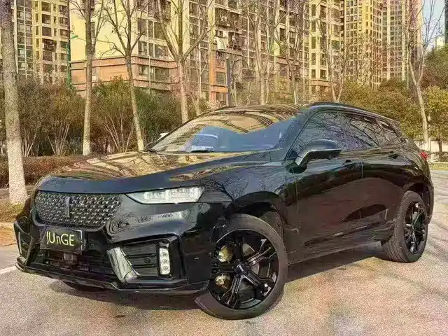 2020 Wey VV7