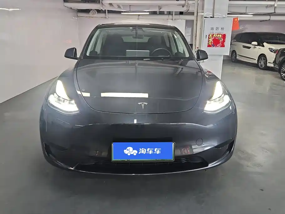 Tesla Model Y — миниатюра 2