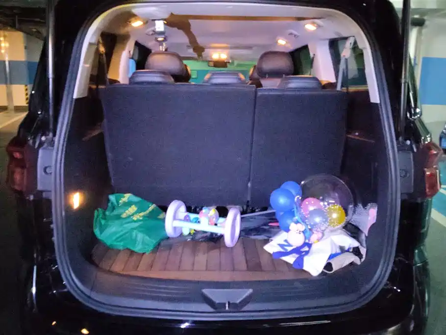 SAIC MAXUS CHASE G20