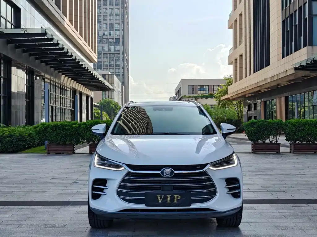 2019 BYD Tang - zdjęcie 1 z 13