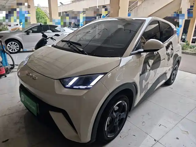 2023 BYD Seagull