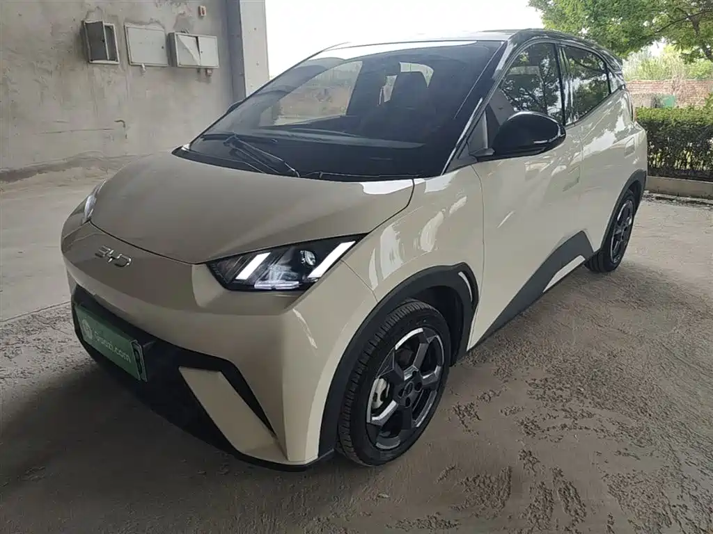 Byd Seagull 2024