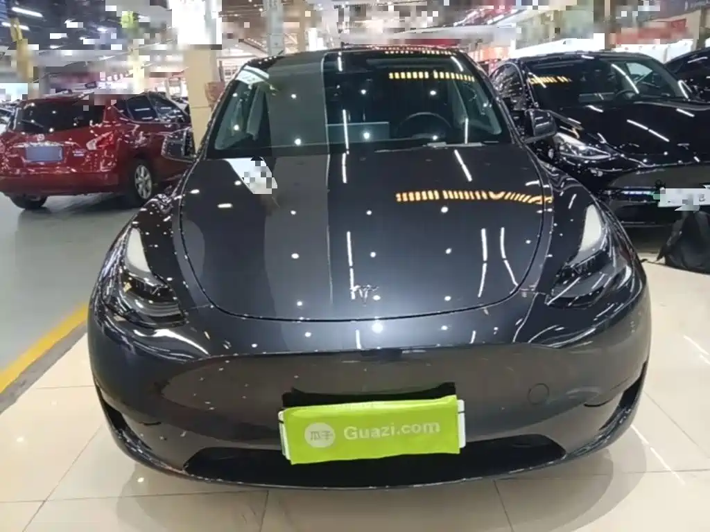 Tesla Model Y — миниатюра 3
