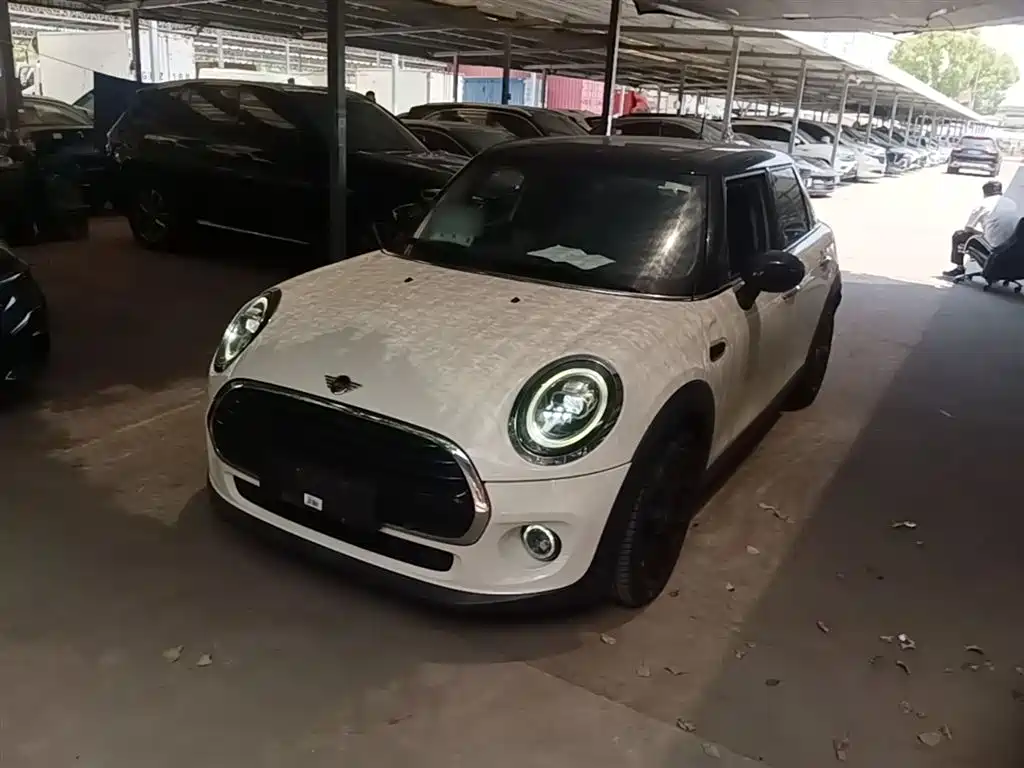 Mini Mini 2019