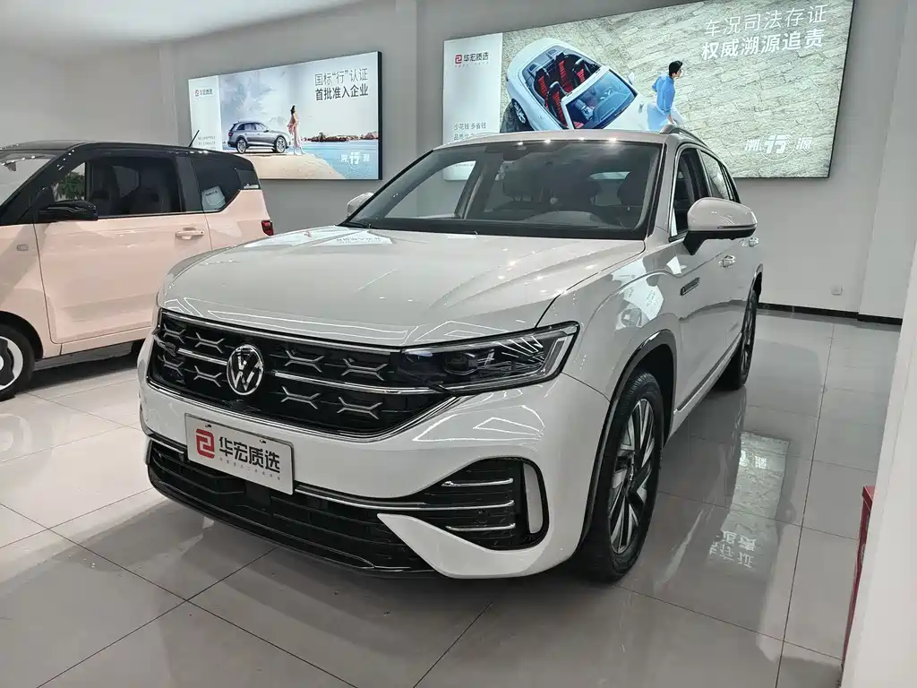 VOLKSWAGEN TANYUE
