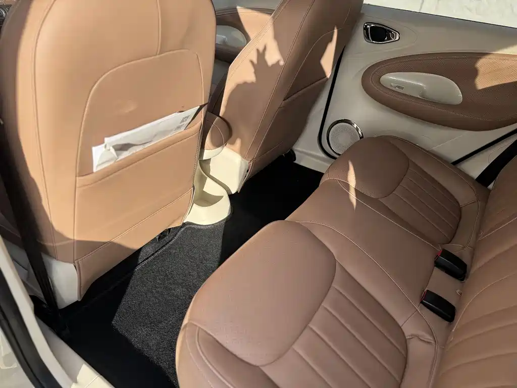 Wuling Binguo 2025 333km Enjoy
