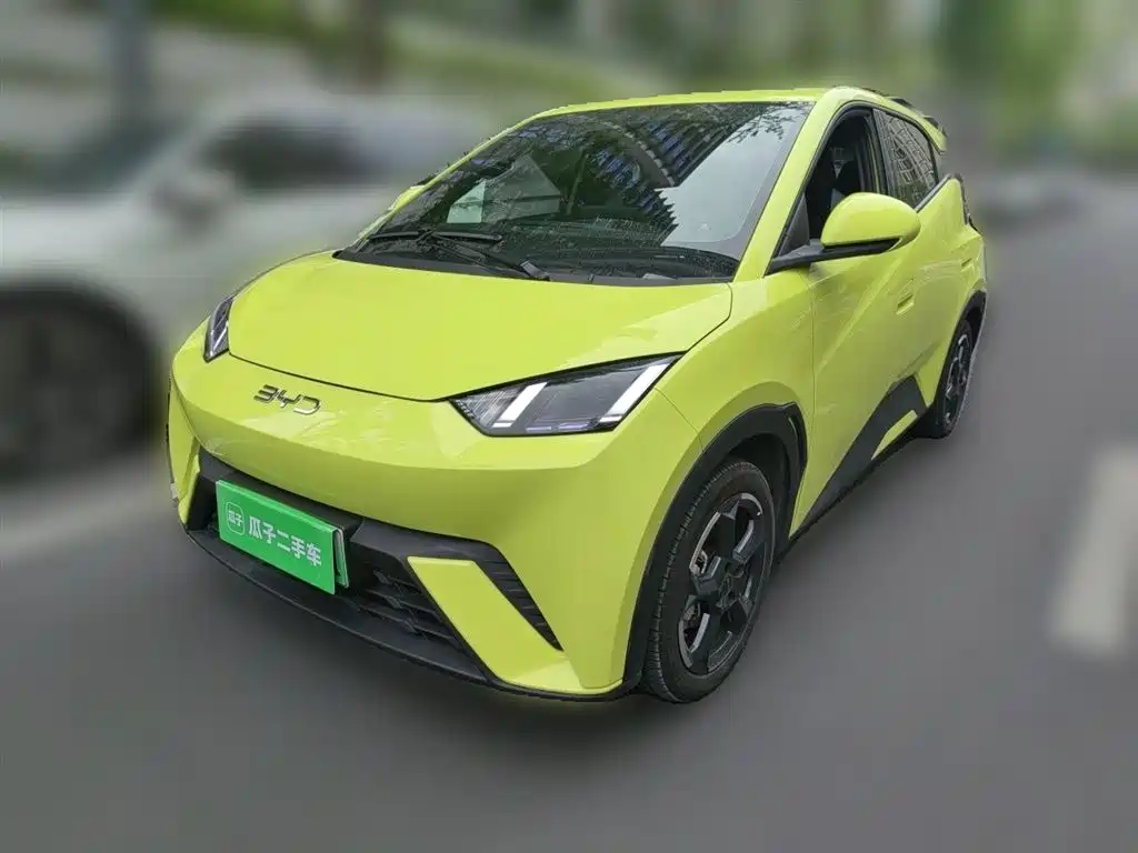 Byd Seagull 2024