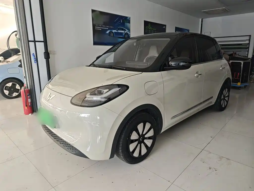 Wuling Binguo 2024 333km Enjoy
