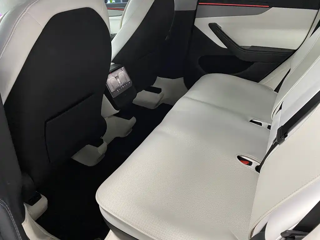 Tesla Model Y — миниатюра 9