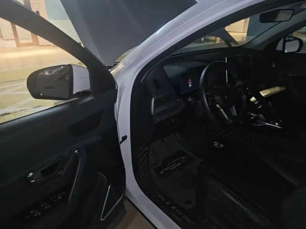 BYD Pro — миниатюра 14